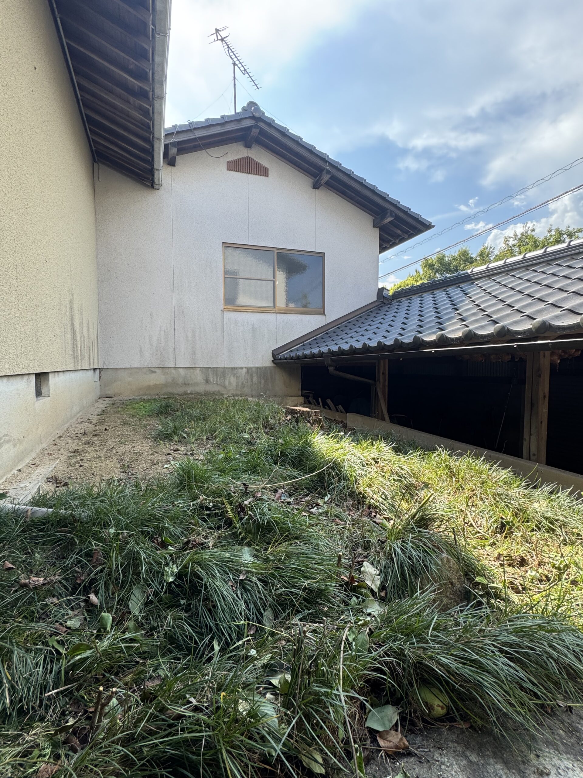 伐採作業を行ってきました！！